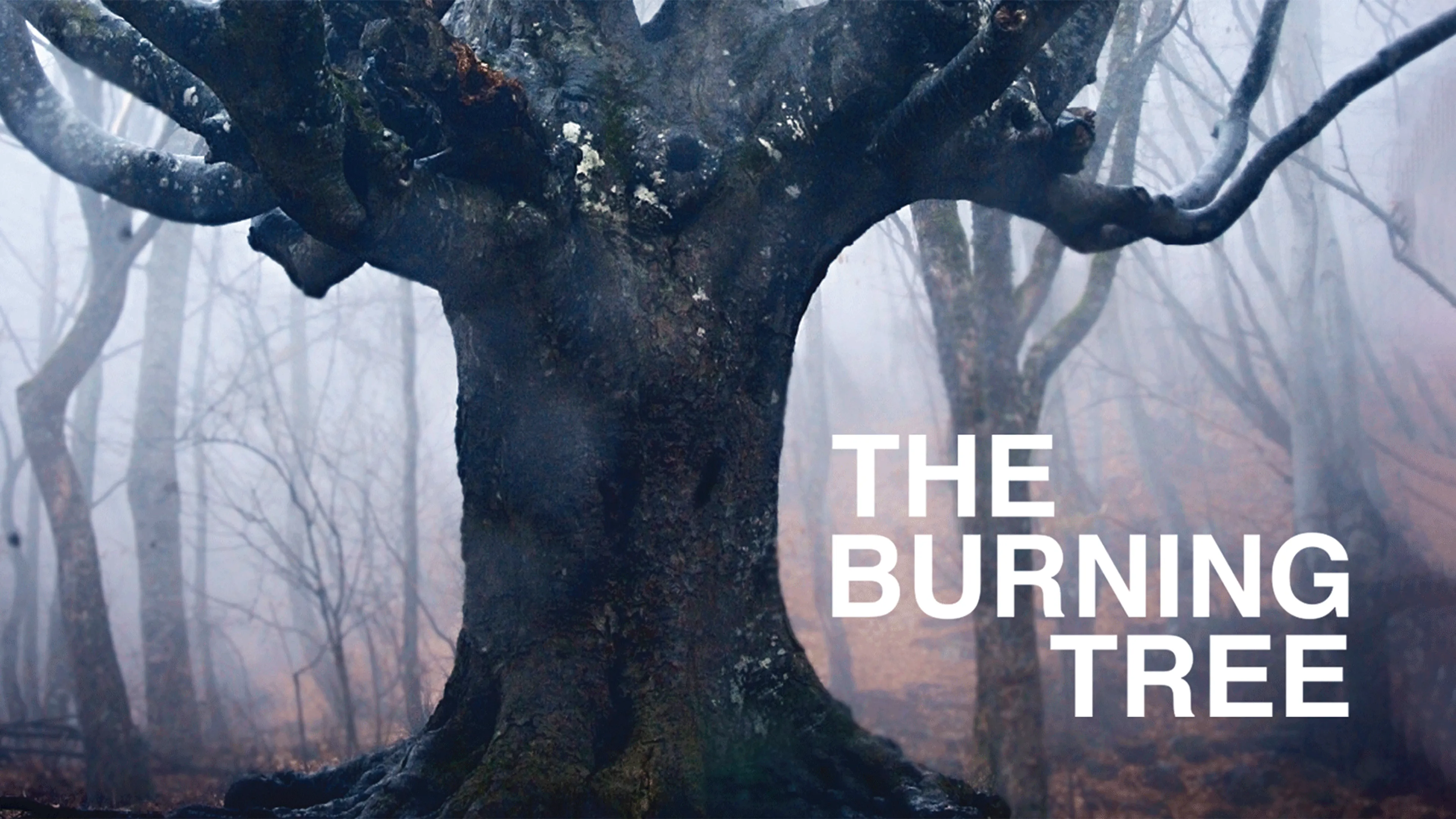 The Burning Tree poster